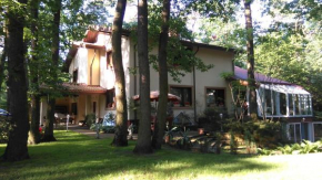 Villa Podkowa, Podkowa Leśna